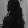 aseel.2053