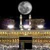 hamza_alzeer_