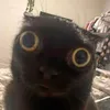 pineapple_69420_