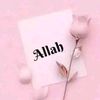 hayaatansari130