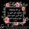 user2446238008088