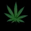 sanxons._07
