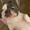 erichy_10