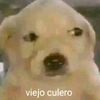 leon12065