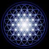 truthseeker462
