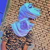 issa.alnour445