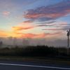 ashley_0034