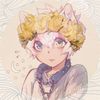 nikko.hydrangea