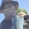 alldaycasting