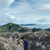 ishakrasit3