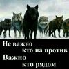 akhmedov7602