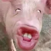 lucastherealpogi