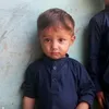 allamzaib181