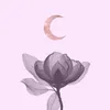 spiritsinbloom