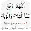 humeraimran03