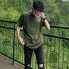 bunga_tampa_daun27