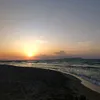 lena_xmd28