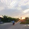 ducanhnguyen9163