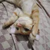 little_bunny127