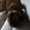 alex_buse
