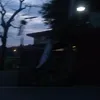jollyzai