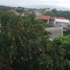 jenz_putra