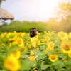 💋suhaydỗi💋27🇯🇵