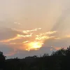 alekei74