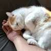flof59
