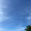 peacedios