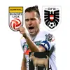 oesterreich.fussball