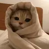 deardiaris__