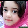 usmanafridi801