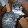 betina.e.eu