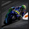 motogp_fan15