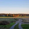 juho_vihervaara