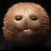 noahonserisx