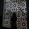 alyan_556