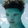 cluebluestares