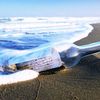 messageinabottle0865
