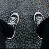 PRANOT0_46