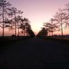 54_emi