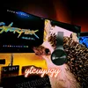 ytcuyvgy