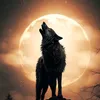 lobito101038