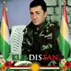 dindardoski171