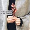 lusi_1107