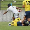 gorilla.rugby