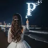 an_an0610p