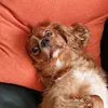 feetje_3