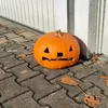 wir_beobachten3.3